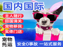 宁波机场快运国际宠物托运 【国